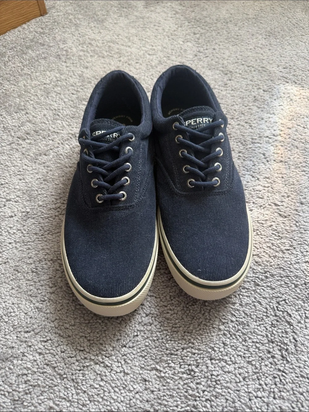 Sperry Men's Dark Navy Canvas Boat Shoes